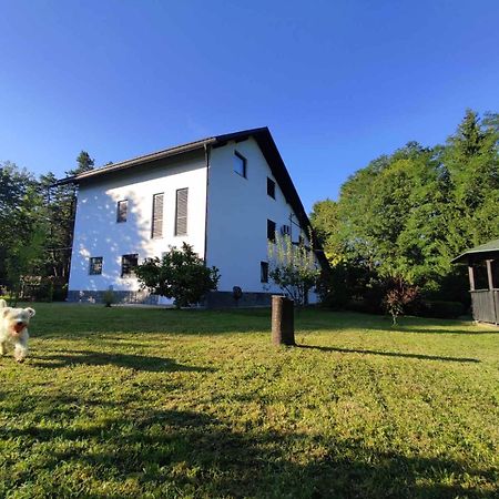 Studio Apartman Gorica Ogulin Kültér fotó